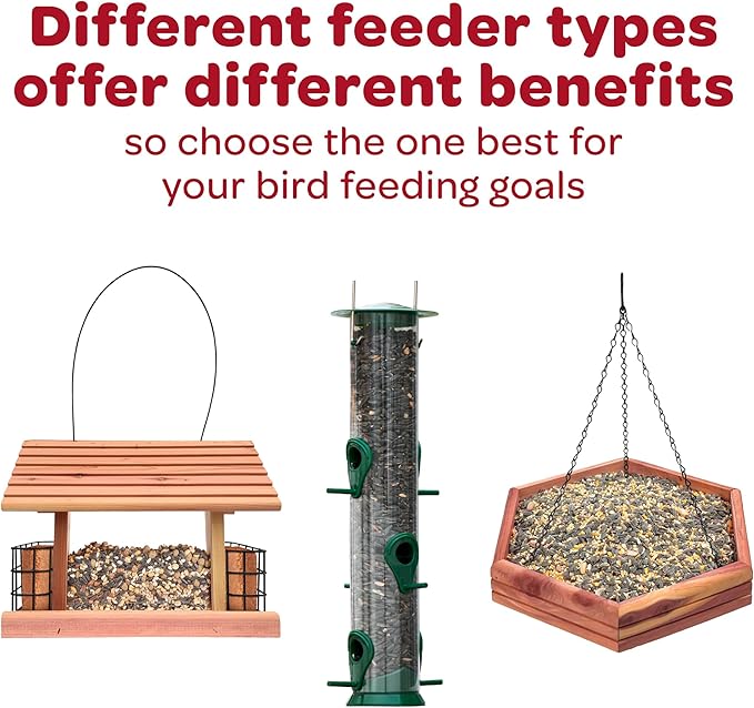 Kaytee sunflower treat bell bird treat