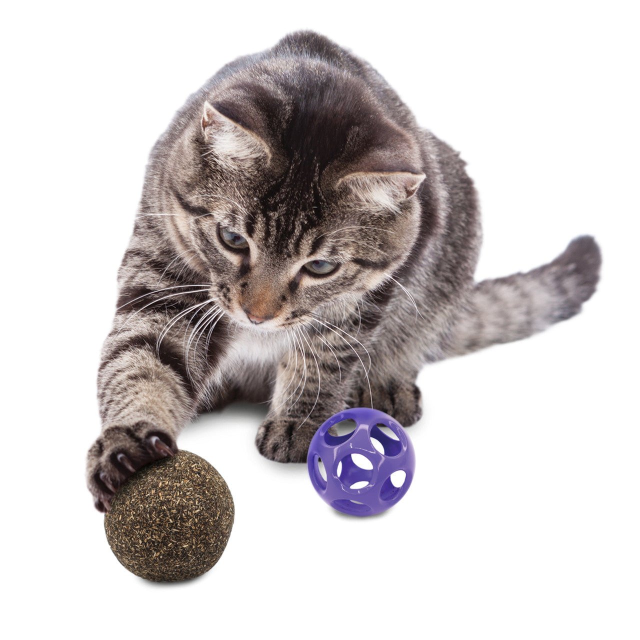Kong blissy catnip cat toy ball