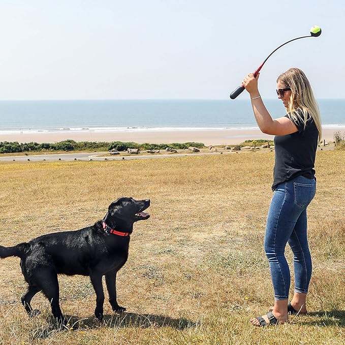 Kong launch handipad all in one large handle dog ball launcher