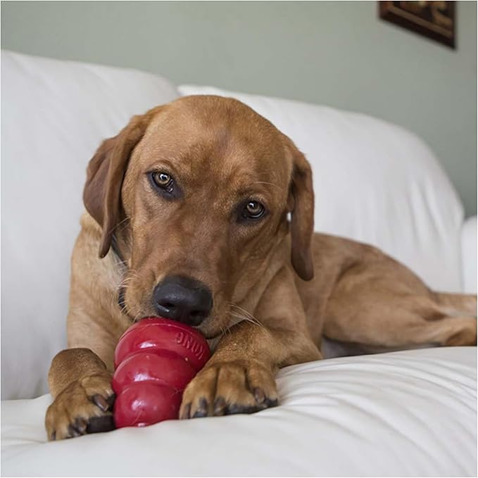 Kong Snacks peanut butter dog treats