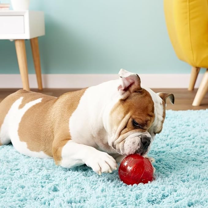 Kong squeezz ball dog toy squeaky kong dog ball toy medium