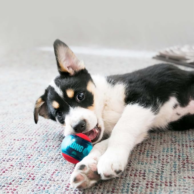 Kong squeezz dog toy ball