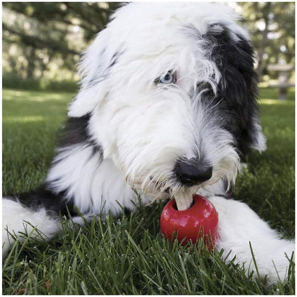 Kong Stuff'N Ziggies - Adult Dogs Original Recipe (Small - 7 Oz)