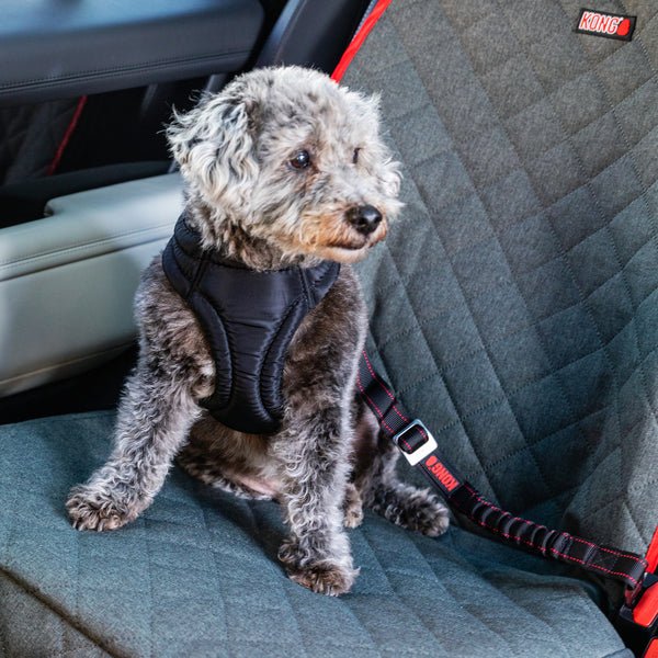 Kong travel deluxe swivel tether belt