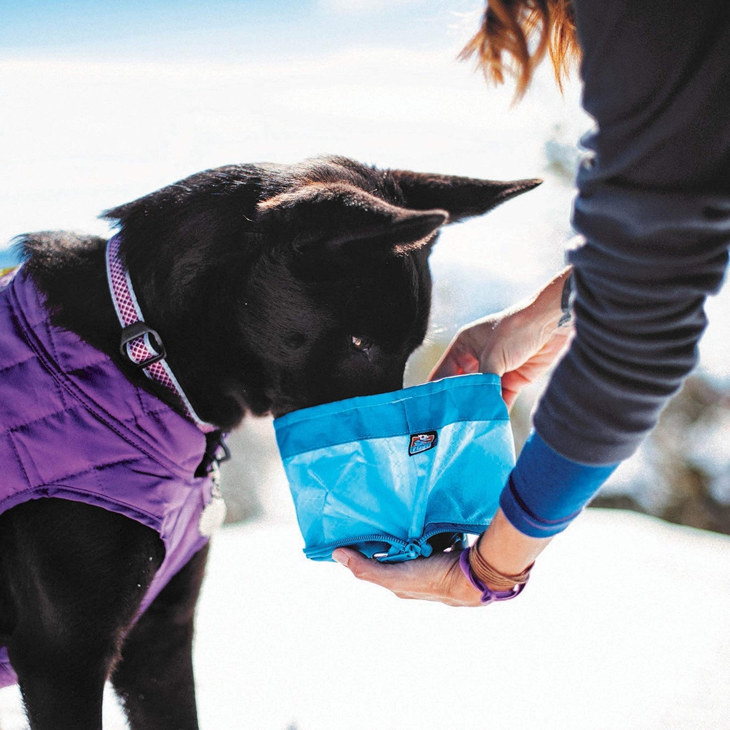Kurgo Zippy Bowl, Collapsible Travel Dog Bowl, Pet Food & Hiking Water Bowl, Machine Washable Bowl For Dogs, Travel Accessories For Pets, Bpa Free, Carabiner ,Blue