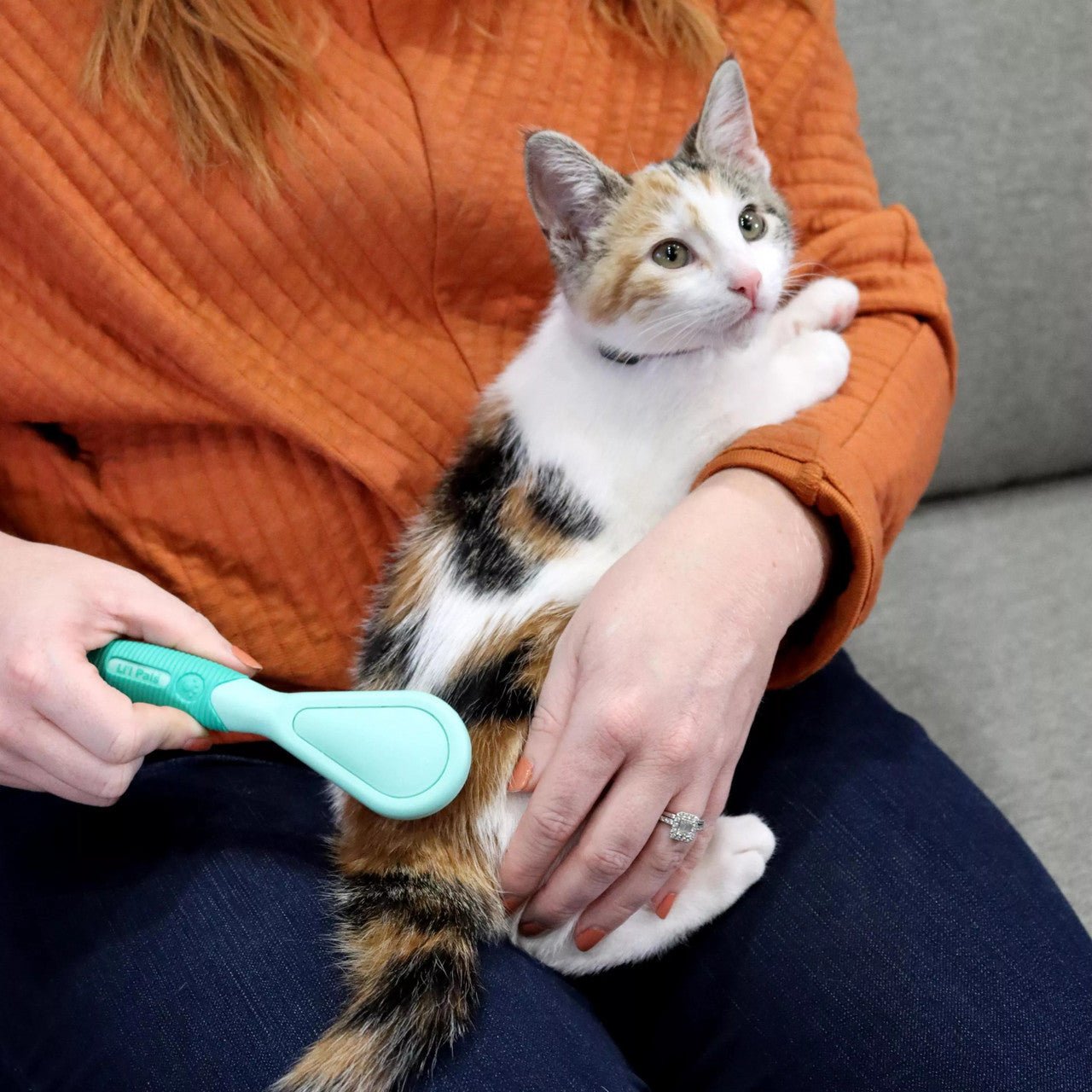 Li'l Pals Kitten Bristle Brush For Pets