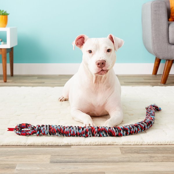 Mammoth snake bite large tug dog toy 42” tug dog toy