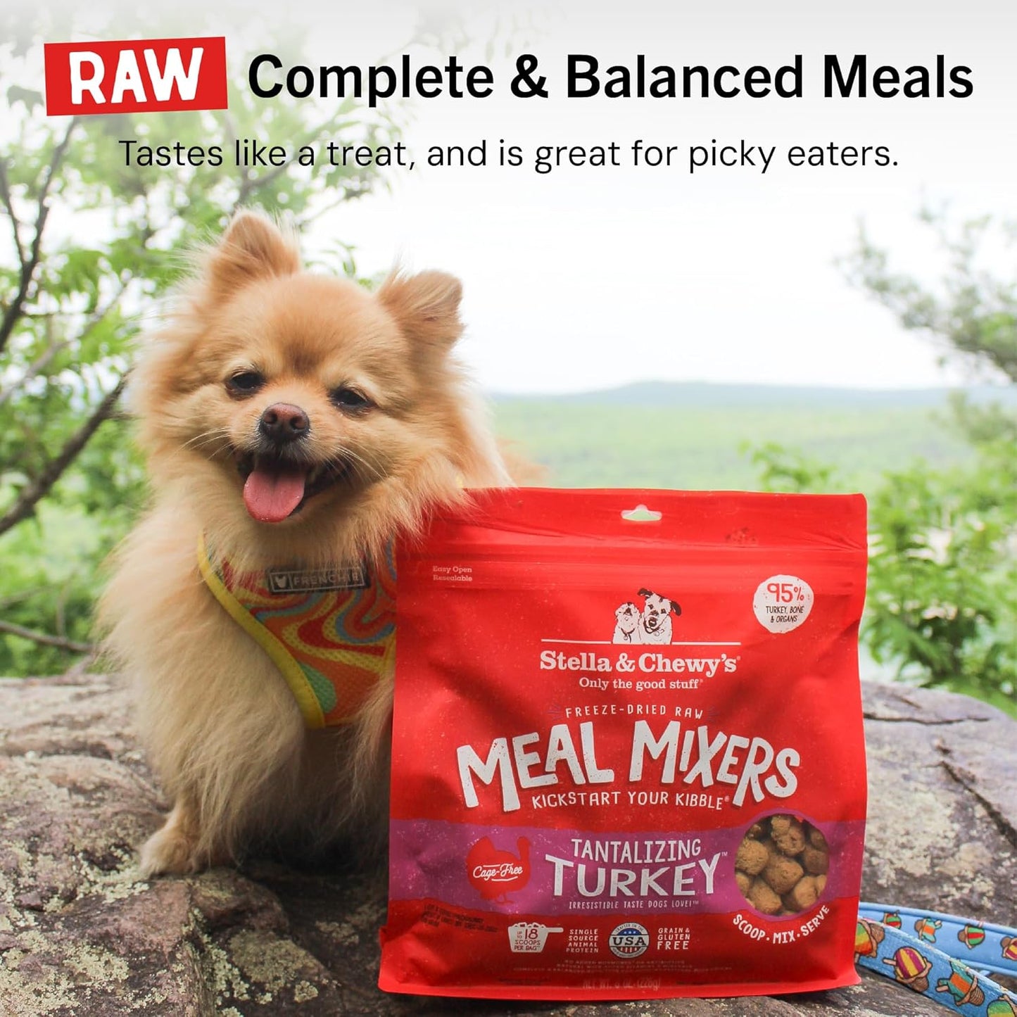 Meal mixers tantalizing turkey 8 oz Stella and Chewy’s