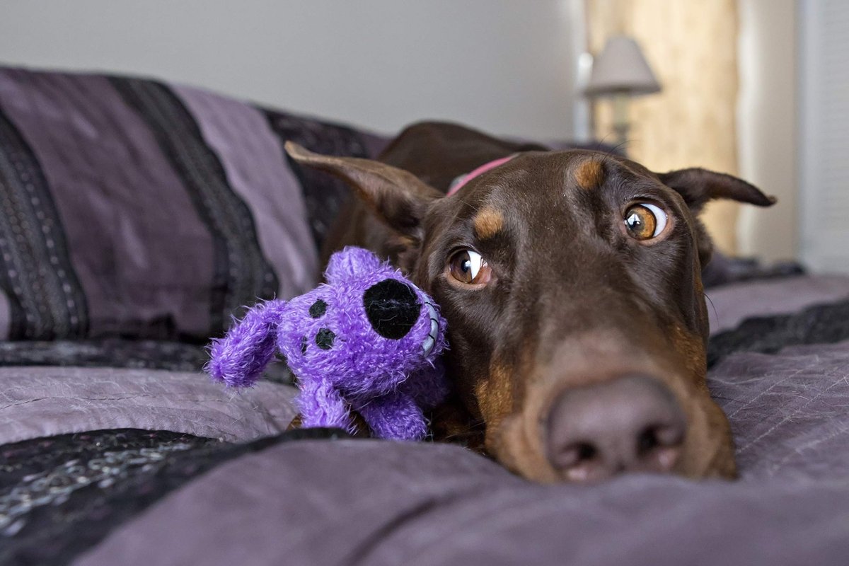 Multipet International Original Loofa Dog Mini 6 - Inch Dog Toy (Assorted colors) - 784369477115