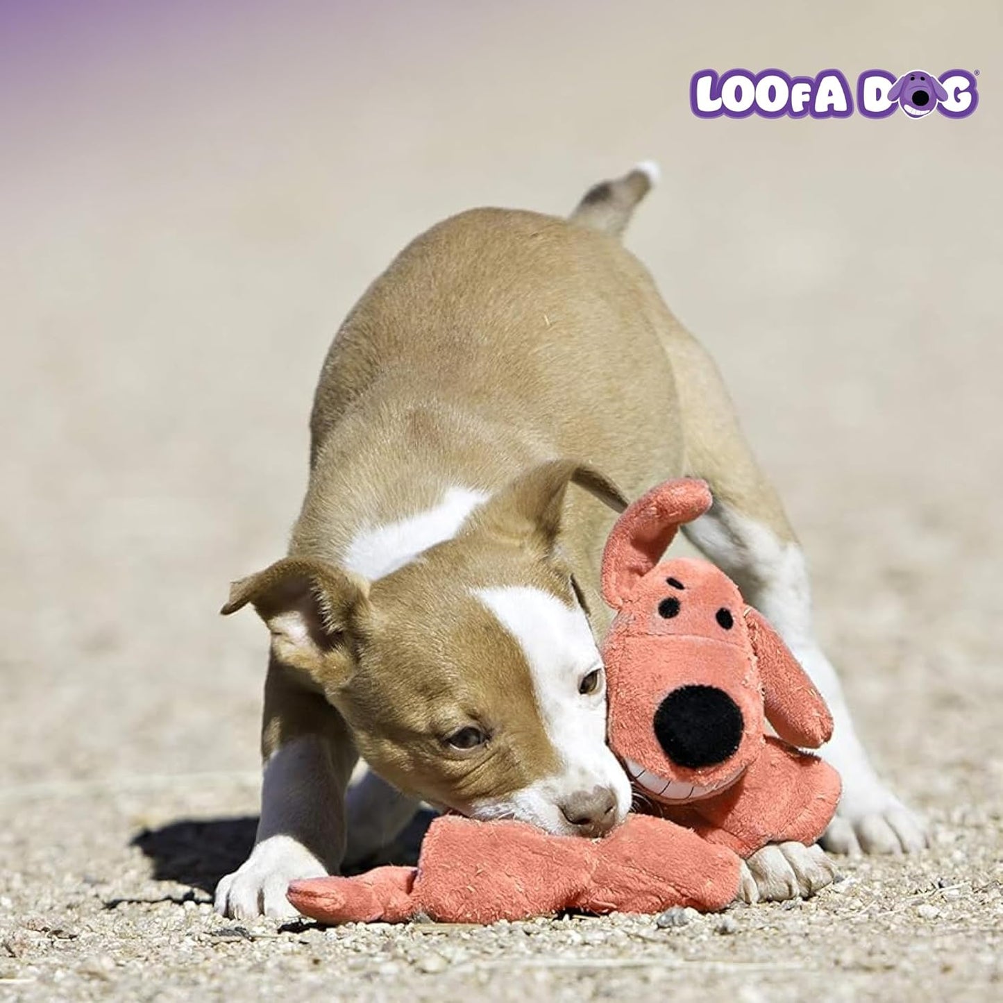 Multipet loofa dog toy large purple
