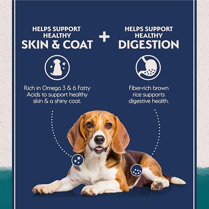 Natural balance limited ingredient chicken & brown rice recipe dry dog food 4lb kibble