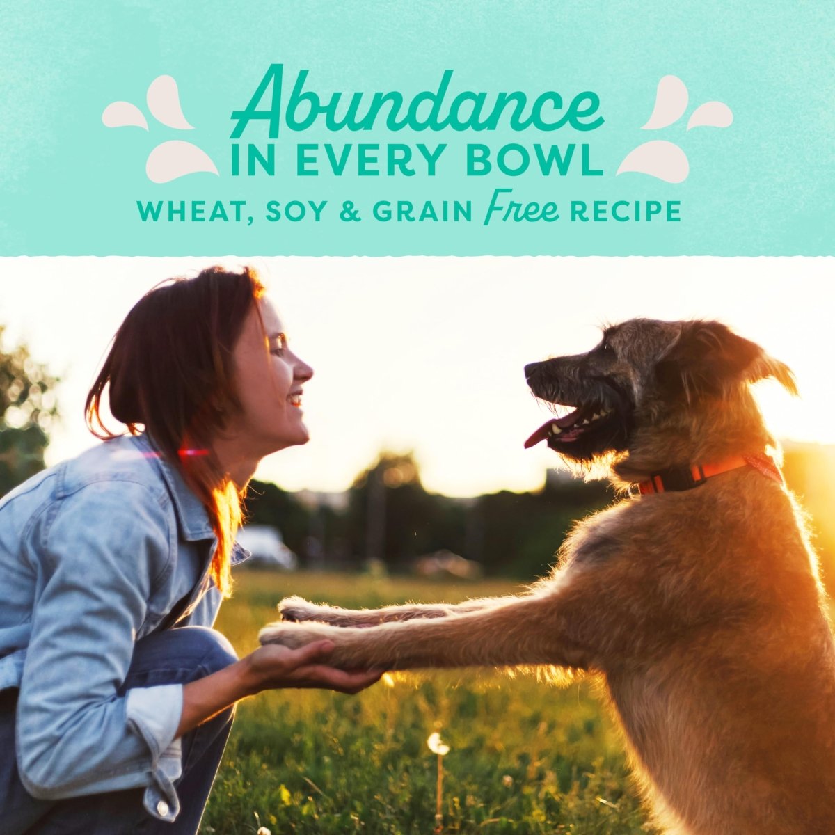 Natural Balance Original Ultra Grain - Free Chicken | All Life Stages Dry Dog Food | 24 - lb. Bag - 723633774161