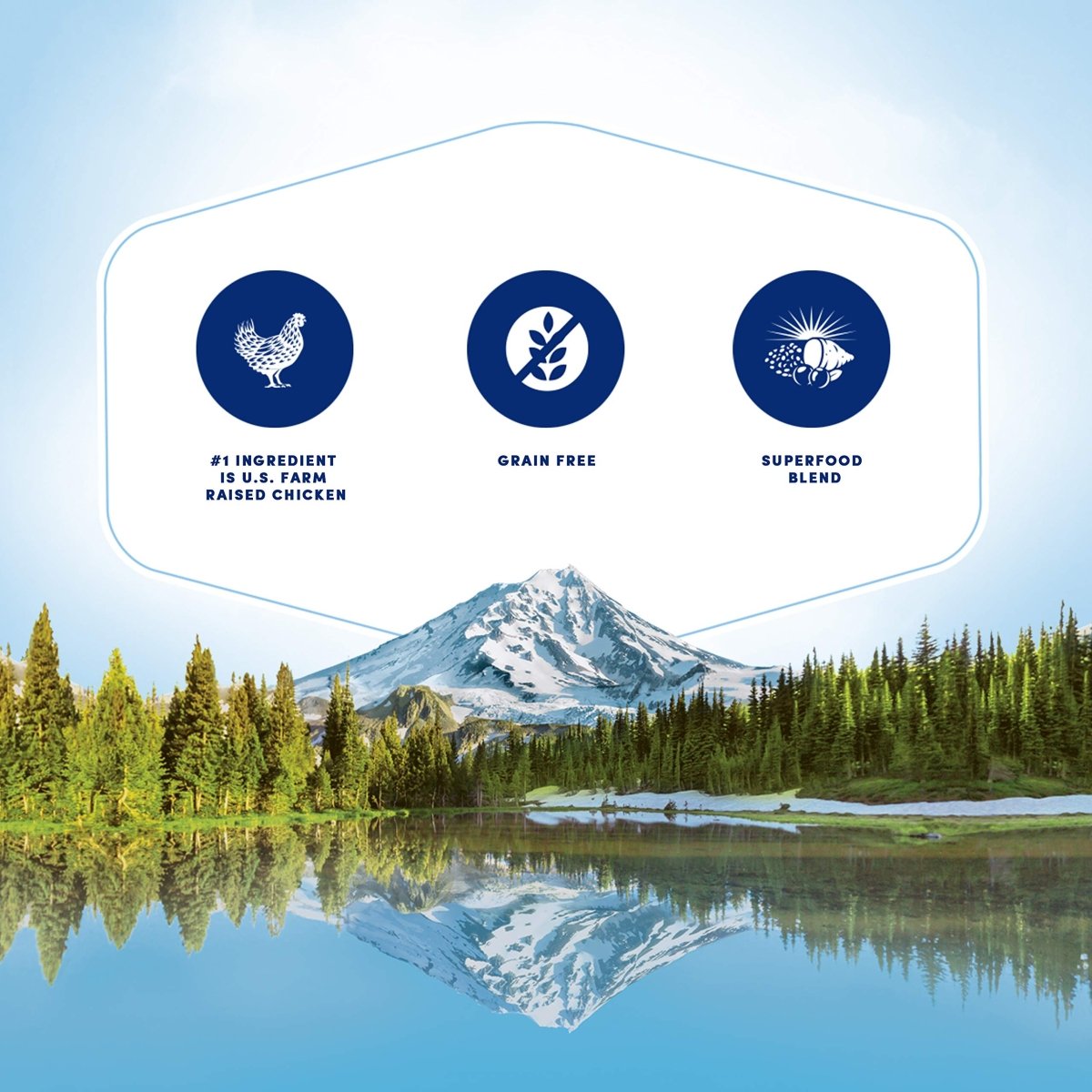 Natural Balance Original Ultra Grain Free Chicken Dry Dog Food, 11 lbs. - 723633774147