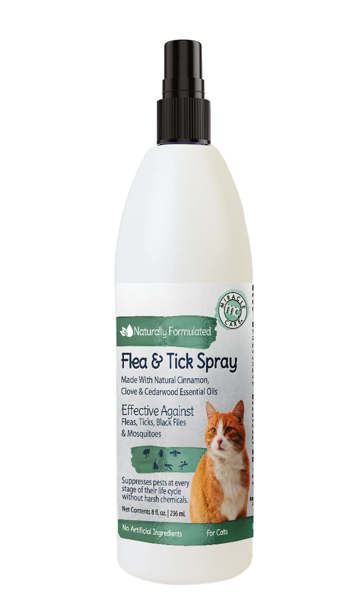 Cat Flea Treatment Spray With Essential Oil And Aloe Vera photo