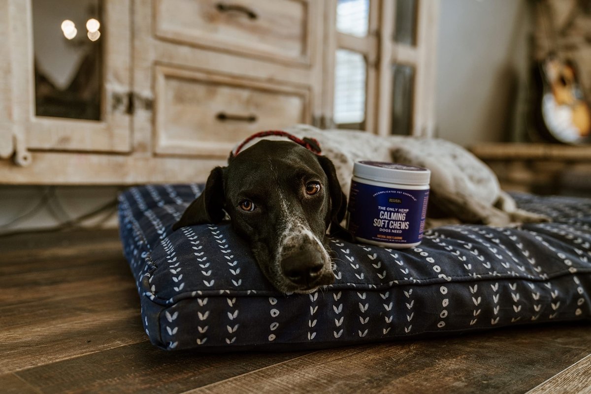 Natural Rapport Dog Calming Treats - The Only Calming Soft Chews That Dogs Need - 120ct Chews That Contain Chamomile to Alleviate Stress - 854106008237