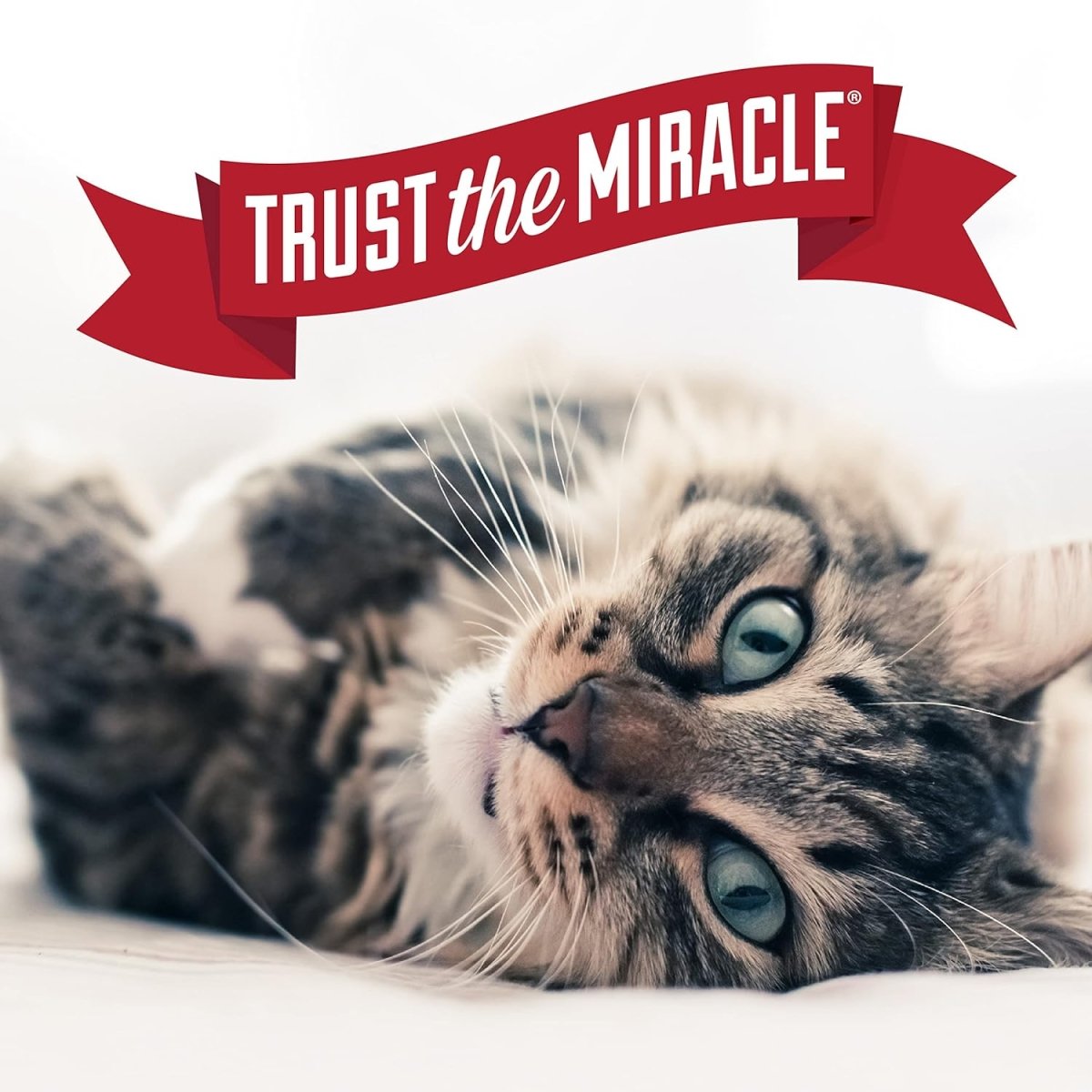 Nature's Miracle Advanced Platinum Cat Scratch Deterrent Spray - cat scratching spray - 018065284013