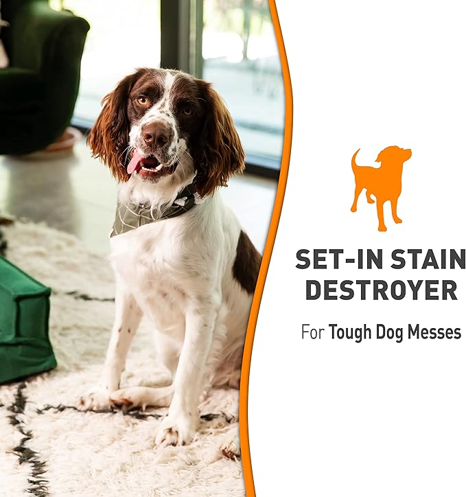 Natures Miracle Oxy Set In Stain Destroyer 32oz Spray Dog Cleaning Spray