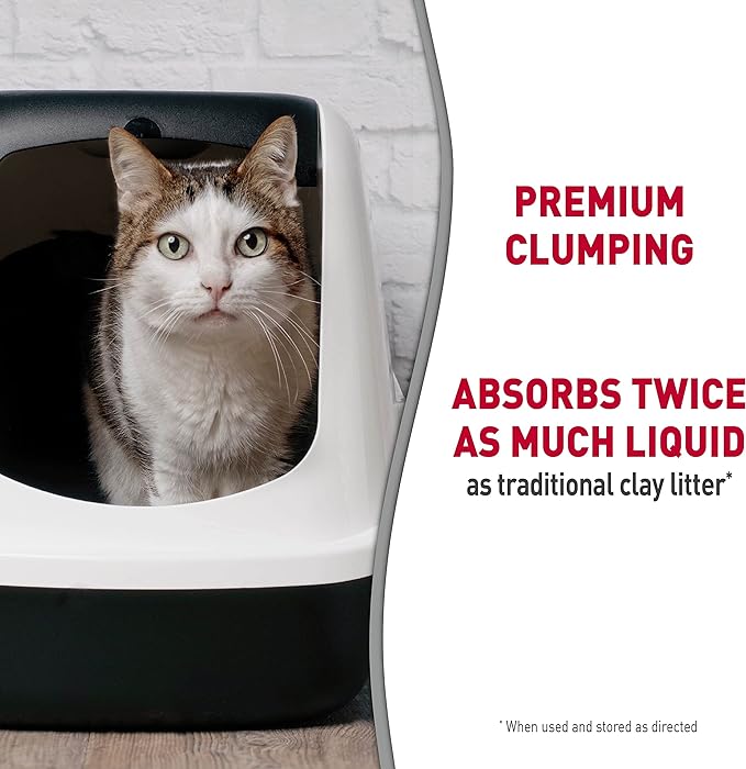 Nature's Miracle Premium Scented Clumping Corn Cat Litter, 10 - lb bag