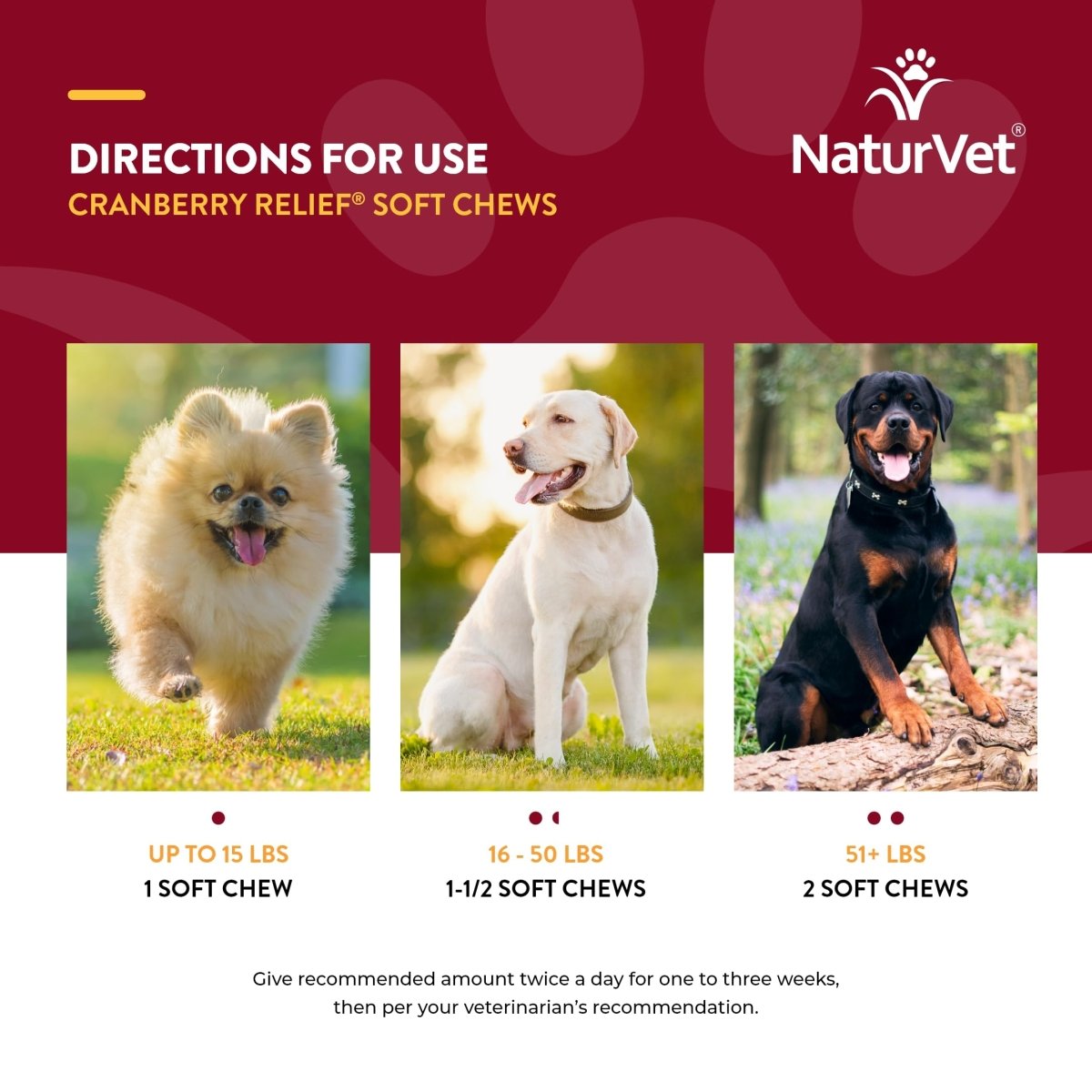 NaturVet – Cranberry Relief Plus Echinacea – Helps Support a Healthy Urinary Tract & Immune System – 60 Soft Chews