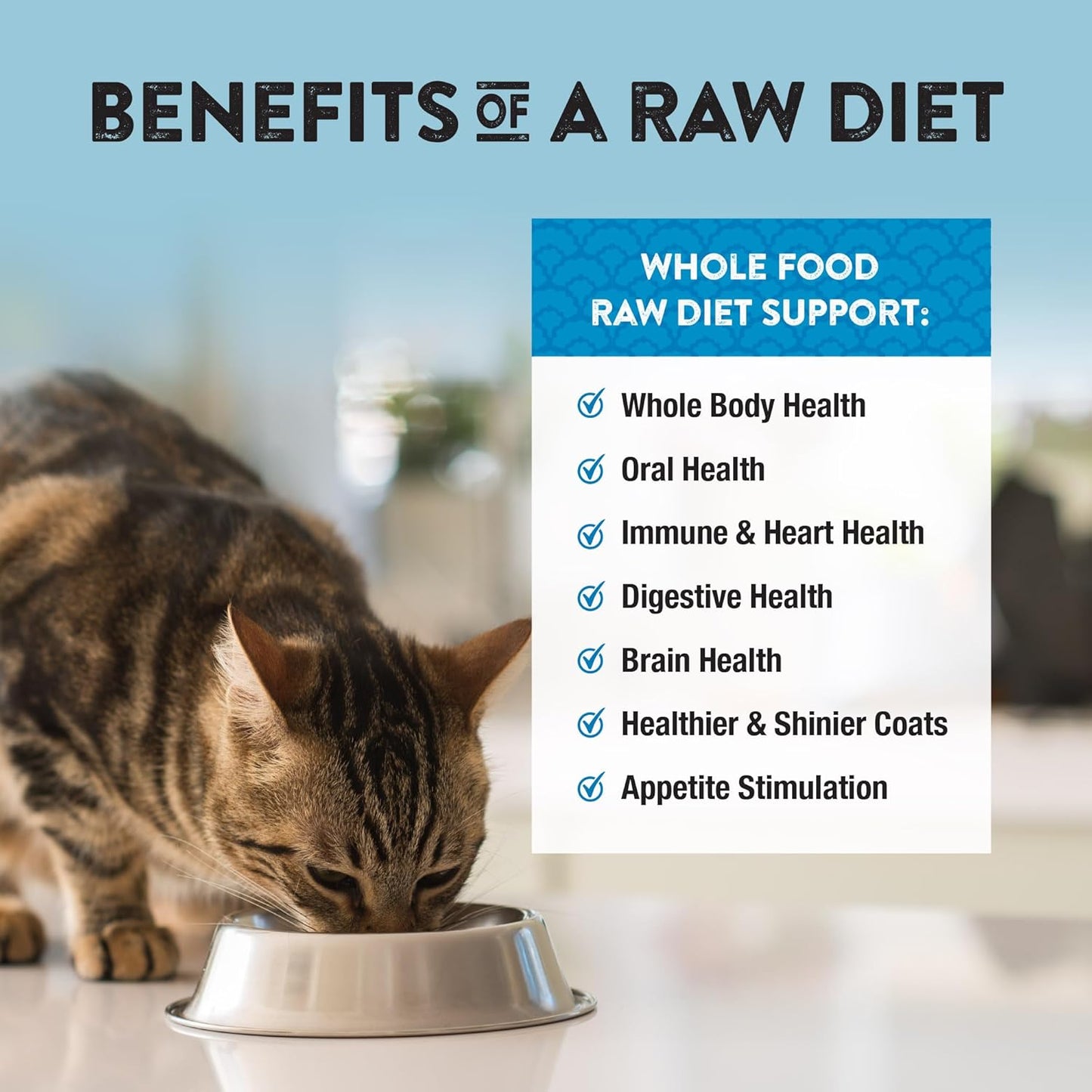 Northwest Naturals Freeze - Dried Turkey Cat & Kitten Food