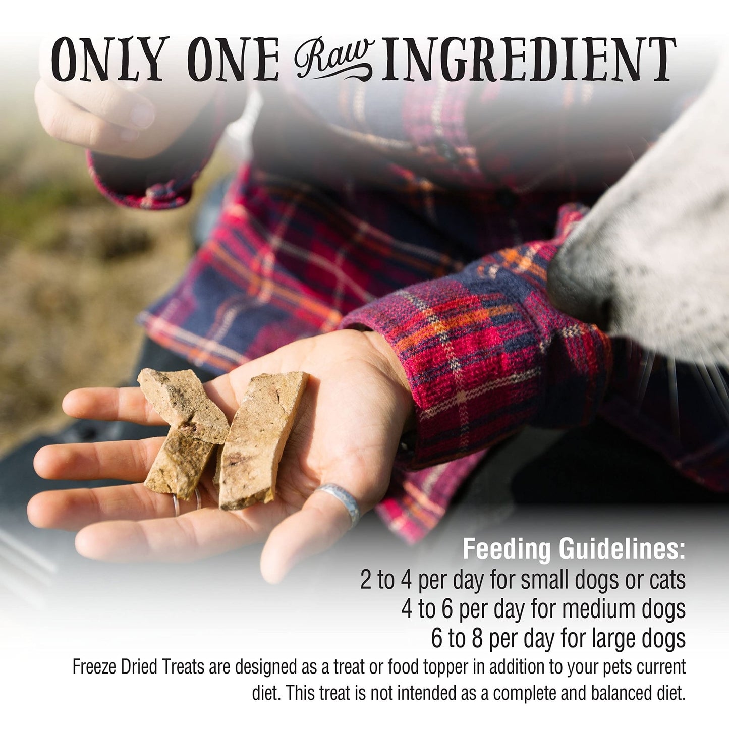 Northwest Naturals Raw Rewards Freeze - Dried Beef Heart Treats - 3 oz