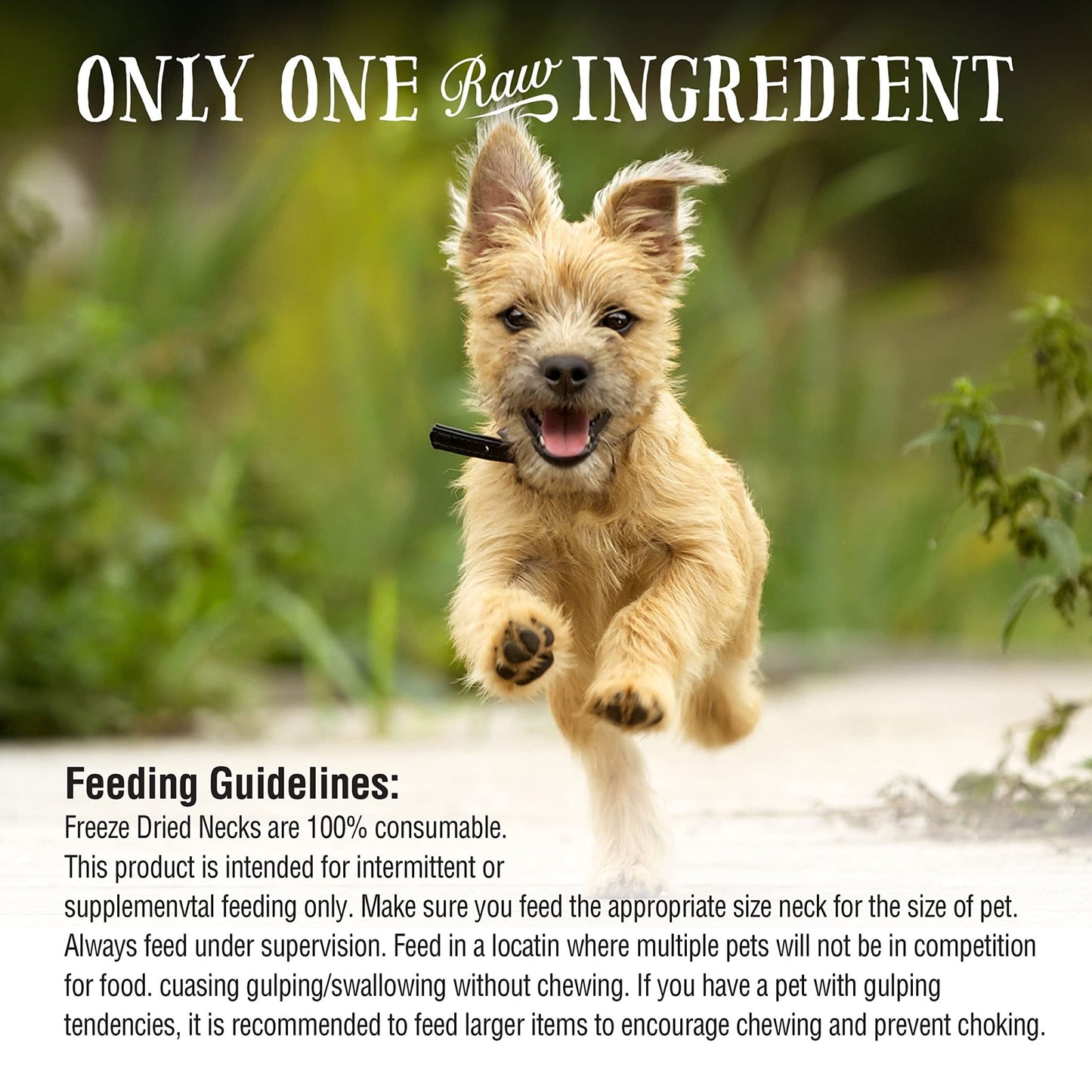 Northwest Naturals Raw Rewards Freeze - Dried Chicken Neck Treats For Dogs And Cats - Whole Neck - Healthy, 1 Ingredient, Human Grade Pet Food, All Natural - 4 Oz