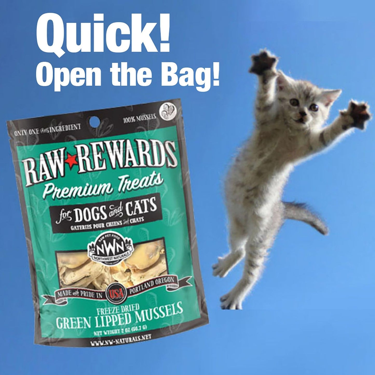 Northwest Naturals Raw Rewards Freeze - Dried Green Lipped Mussel Treats - 2 oz