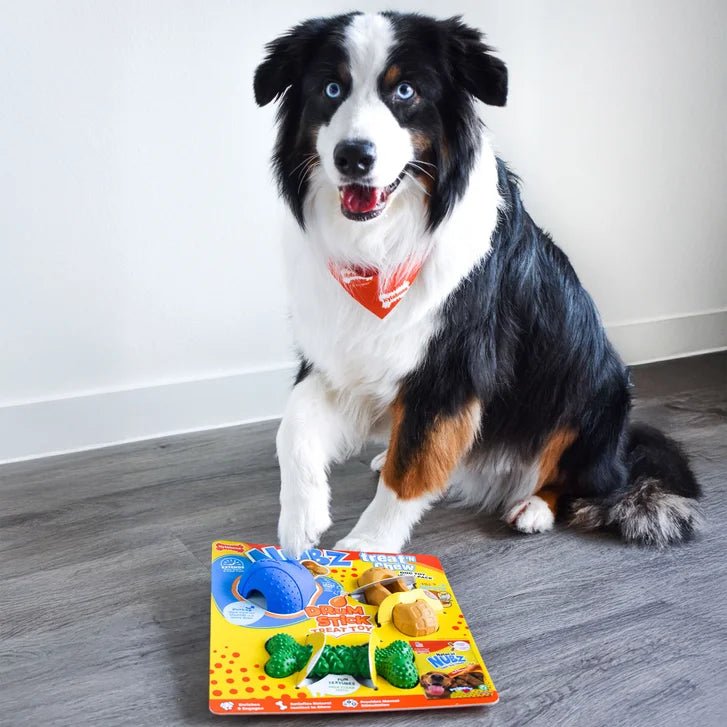 Nubz treat and chew drum stick treat toy