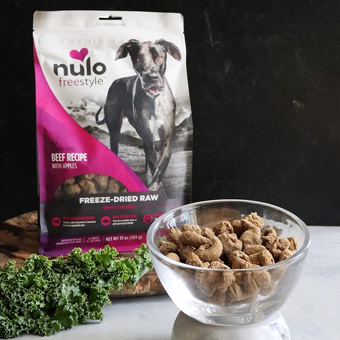 Nulo freestyle freeze dried raw grain free beef recipe with apples 5oz dog treats
