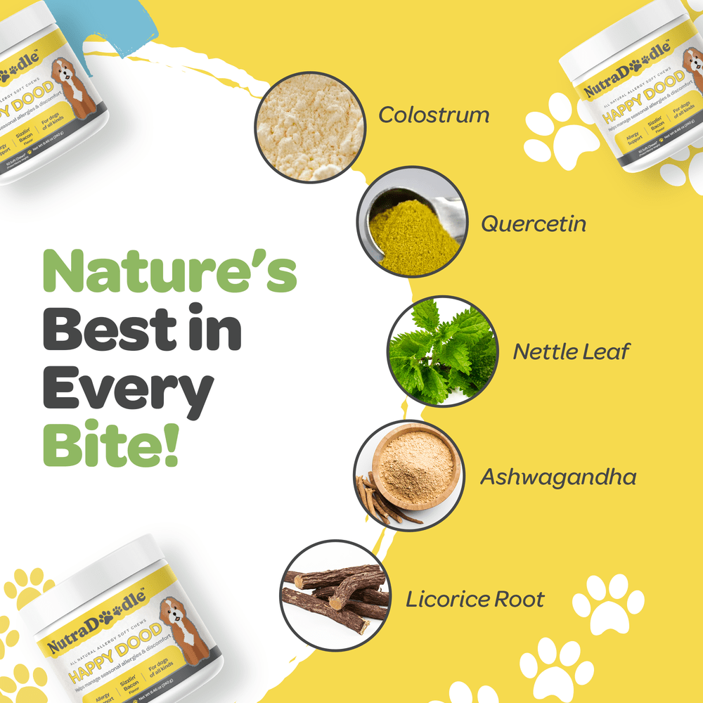 Nutradoodle all natural allergy soft chews - happy dood