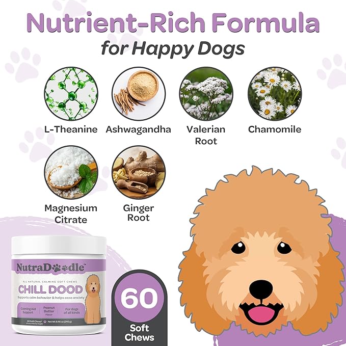 Nutradoodle all natural calming soft chews - chill dude