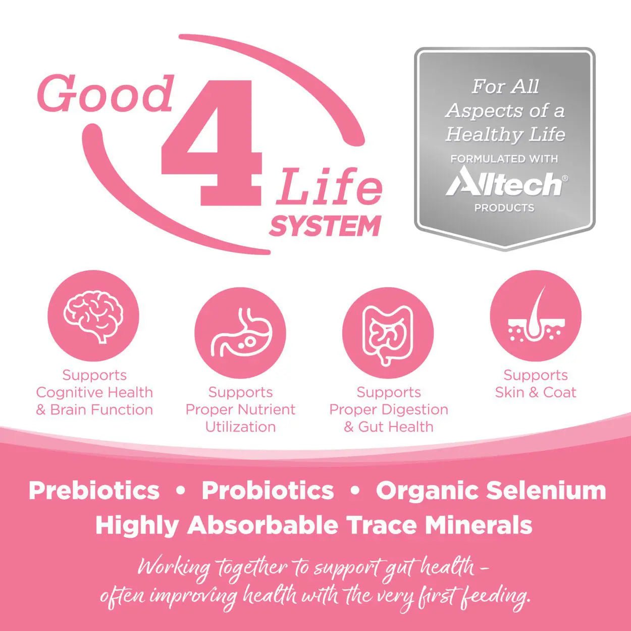 NUtri source pure vita small bites salmon and peas entree 4 lb