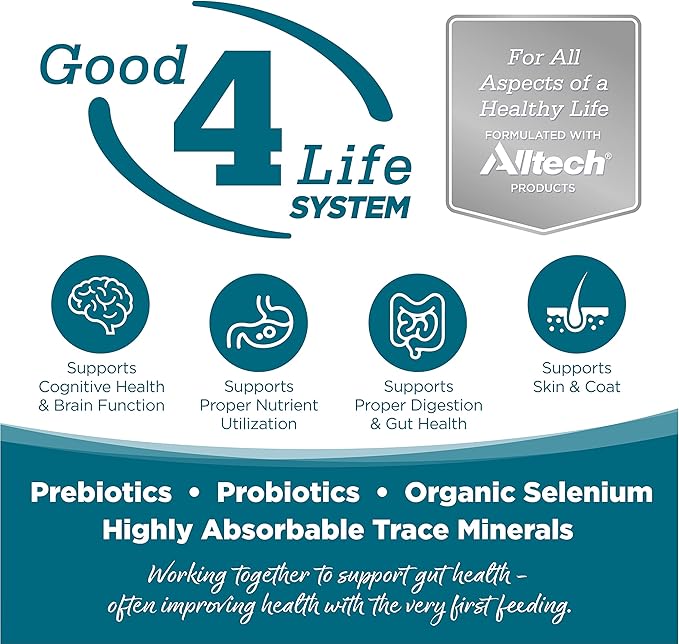 Nutrisource chicken & rice recipe dry dog food kibble 4lb bag