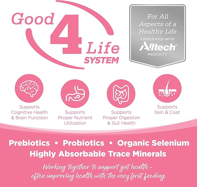 Nutrisource grain free salmon & peas small bites dry dog kibble 12lbs