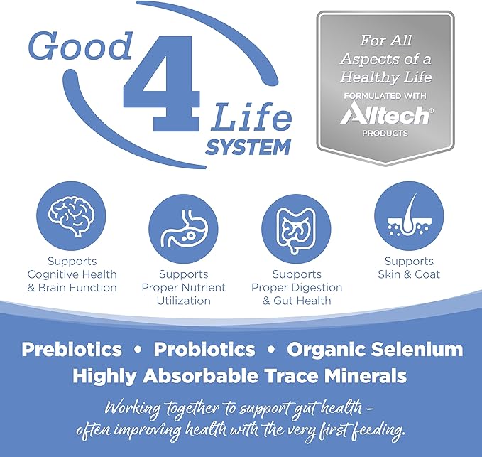 Nutrisource grain free Turkey & sweet potato 12lbs dry dog kibble