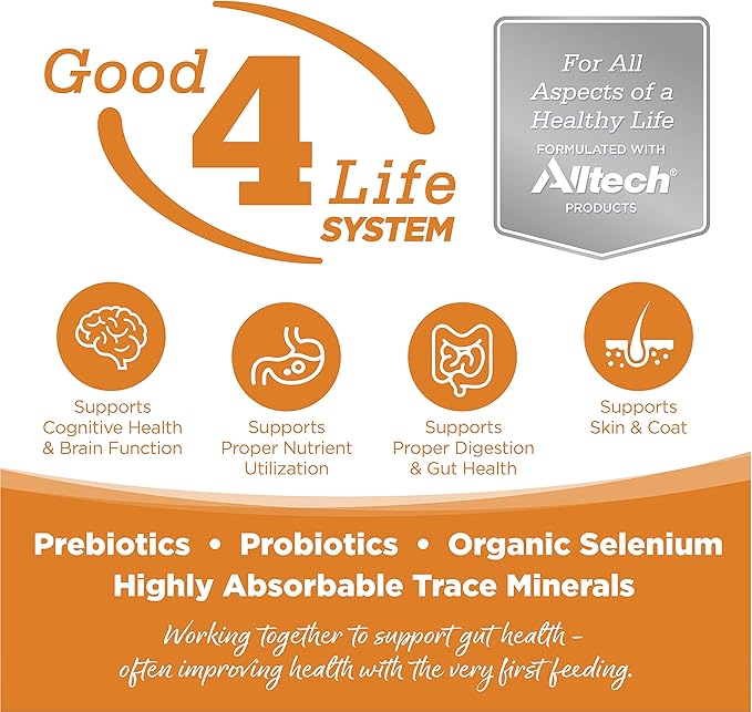 Nutrisource lamb & peas grain free 15lb dry dog kibble