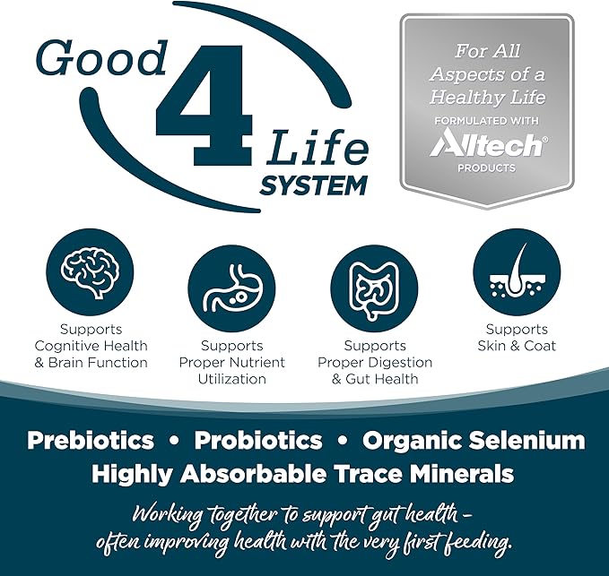 Nutrisource small bites adult chicken & rice 4lb wholesome grains