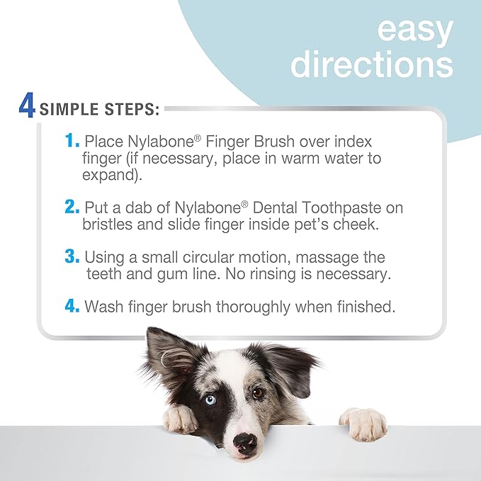 Nylabone advanced oral care finger brushes