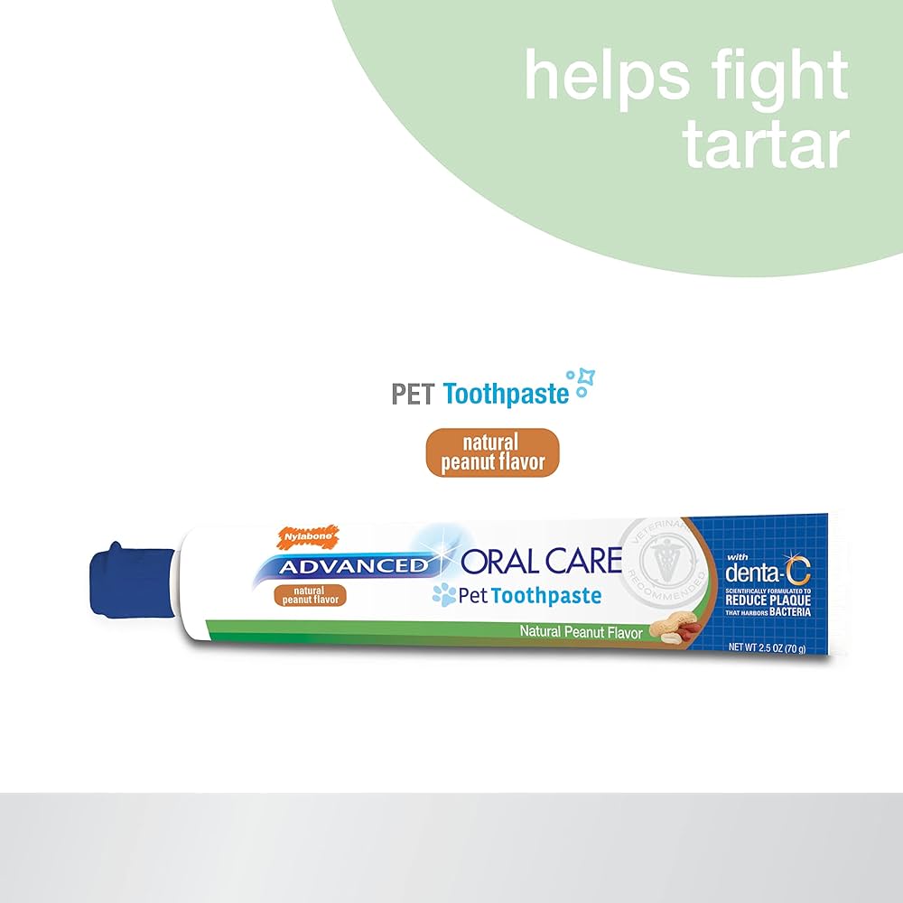 Nylabone advanced oral care pet toothpaste 2.25oz
