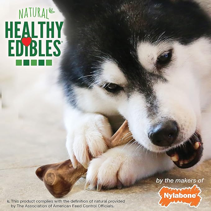Nylabone healthy edibles real bison large dog treat 4.9ozn