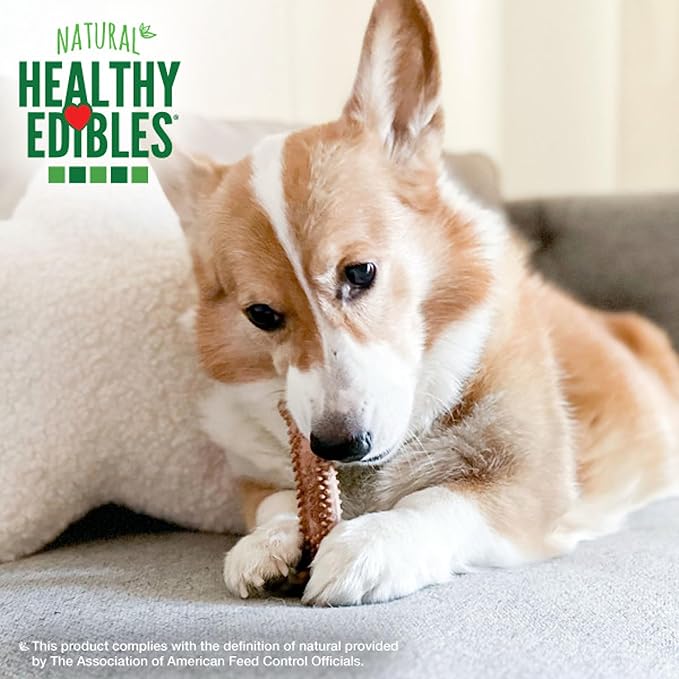 Nylabone natural healthy edibles chew treats meaty center beef 9.9oz 12 small chews