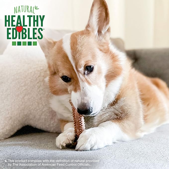 Nylabone natural healthy edibles meaty center beef 3.3oz treat 4 small