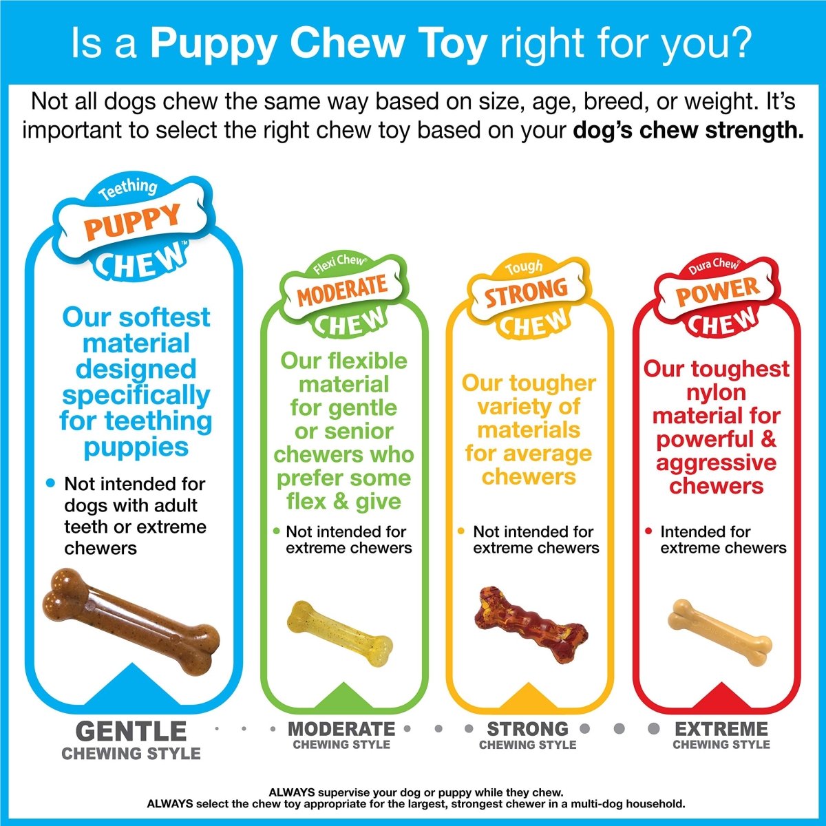 Nylabone Puppy Chew Keys Toy - Puppy Chew Toys for Teething - Puppy Supplies - Bacon Flavor, Small