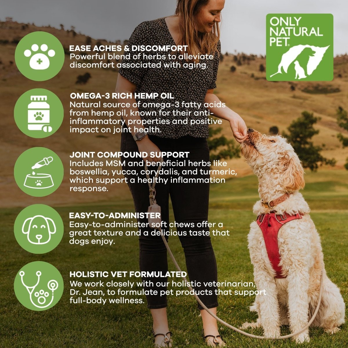Only Natural Pet Hemp Senior Mobility Support for Dogs - Holistic Wellness for Healthy Joint & Overall Well - Being - Vet Formulated - Soft Chew Treats - 60 Count
