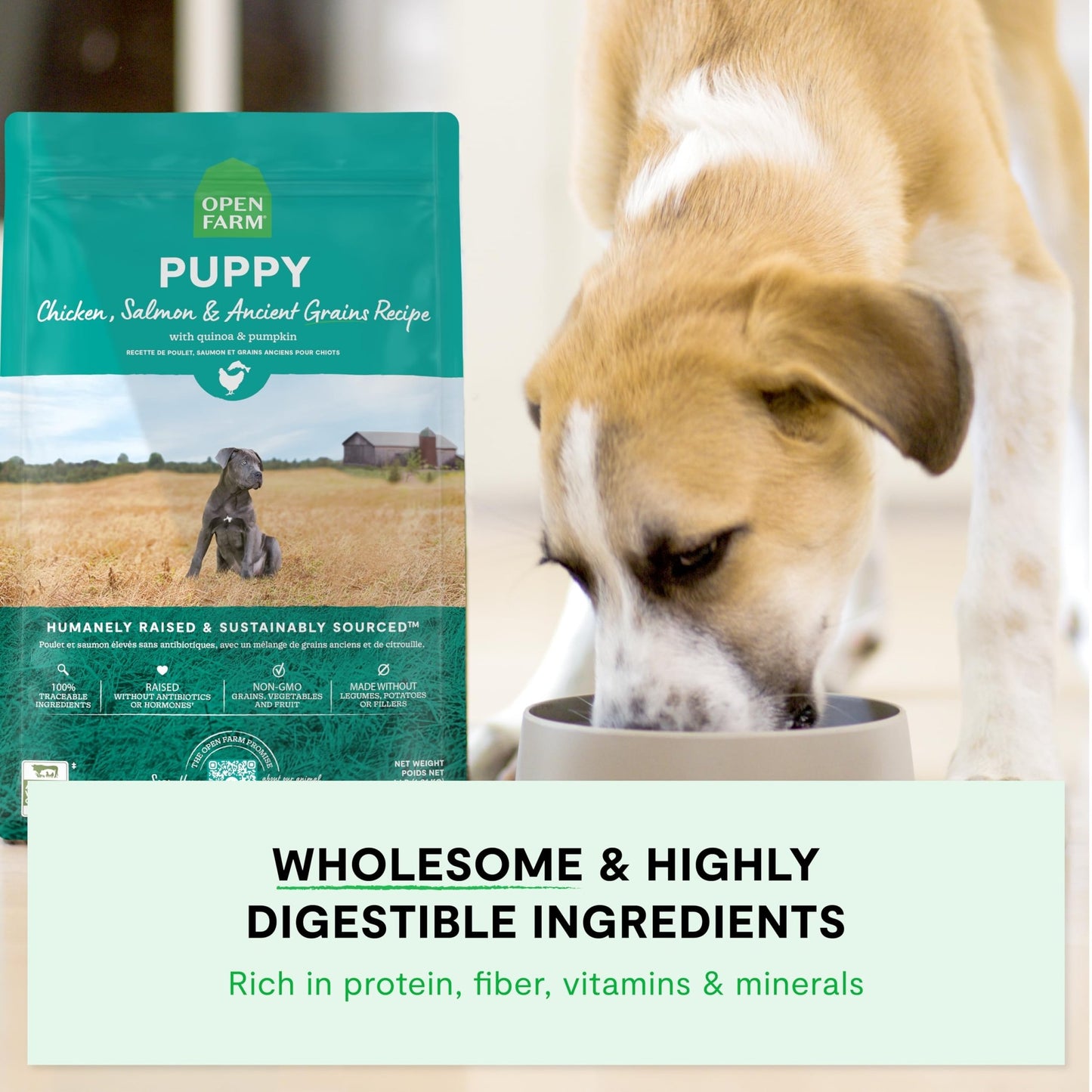 Open Farm, Ancient Grains Dry Dog Food for Puppies, Protein - Rich & Nutrient Dense, 90% Animal Protein Mixed with Non - GMO Fruits, Veggies and Superfoods, Chicken & Salmon Recipe for Puppy, 4lb Bag