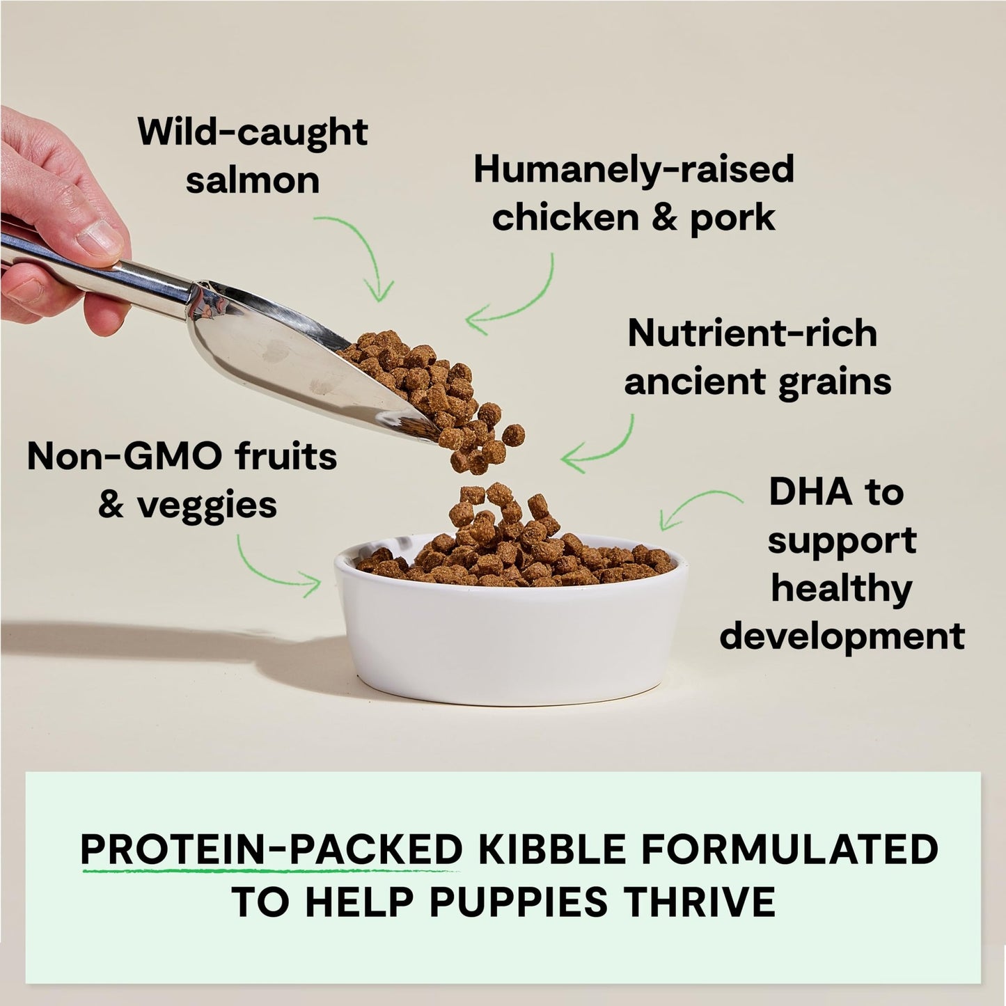 Open Farm, Ancient Grains Dry Dog Food for Puppies, Protein - Rich & Nutrient Dense, 90% Animal Protein Mixed with Non - GMO Fruits, Veggies and Superfoods, Chicken & Salmon Recipe for Puppy, 4lb Bag