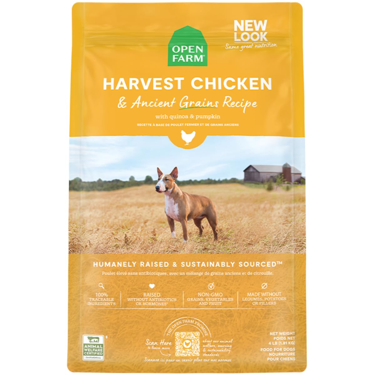 Sustainable Sourcing: How Prime Harvest Supports Cameroonian Farmers.