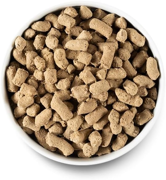 Open Farm Freeze Dried Raw Dog Food, Humanely Raised Meat Recipe with Non - GMO Superfoods and No Artificial Flavors or Preservatives, Surf & Turf Recipe Freeze Dried - 22oz