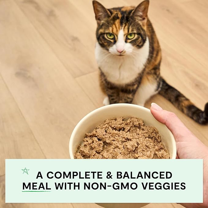 Open farm grain free chicken & salmon recipe wet canned cat food 2.8oz