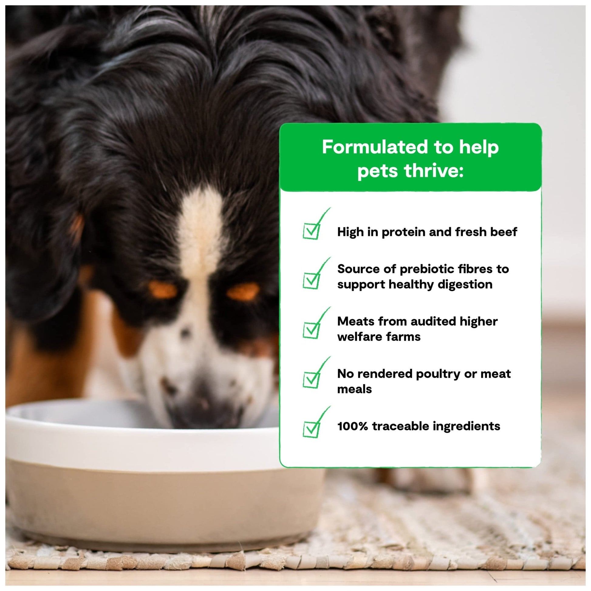 Open Farm Grass - Fed Beef Grain - Free Dry Dog Food – 100% Humanely Raised Wagyu Recipe with Non - GMO Superfoods (4 lbs)